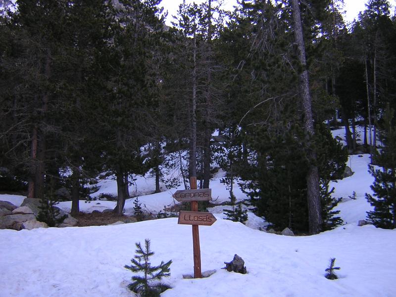 Foto del cruce donde se abandona el GR-11 para girar al Norte, en dirección a Coronas.